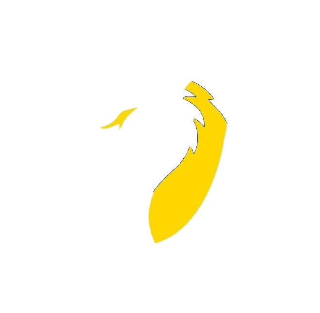 Futsal Treglio